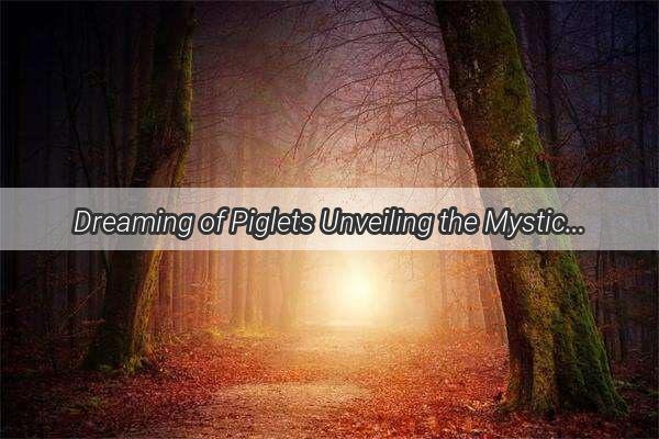 Dreaming of Piglets Unveiling the Mystical Meanings for Womens Lives